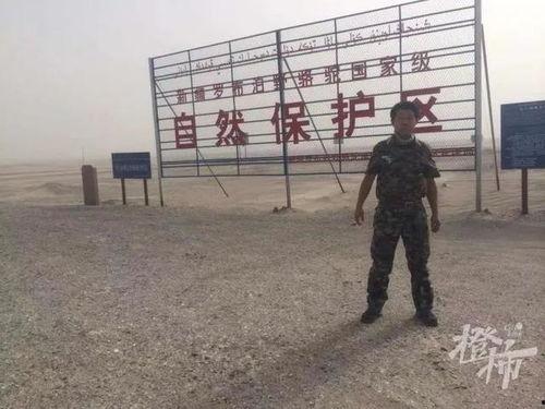 罗煜照片,光影中的独特魅力