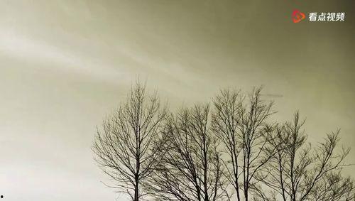 好听背景纯音乐,探寻好听背景纯音乐的魅力