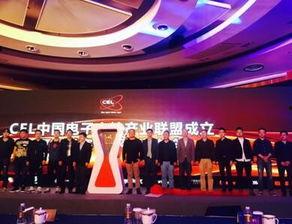 中国娱乐资源联盟,引领行业新风向，打造娱乐产业新格局