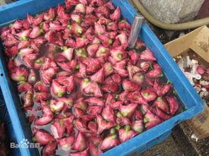 红凌图片,探寻东方色彩之美